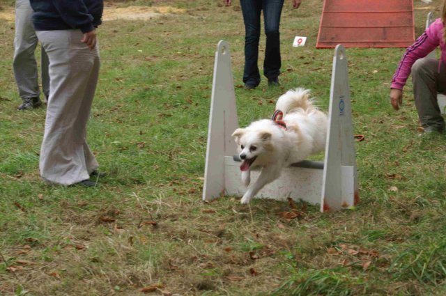foire-haricots 2011-09-17et18
